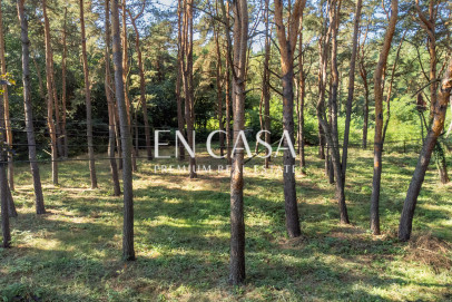 Plot Sale Warszawa Wawer Koszęcińska